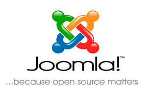 Заказать перенос сайта на CMS Joomla!